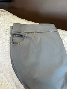 Kim Rogers Cropped Ankle Pants in Light Gray